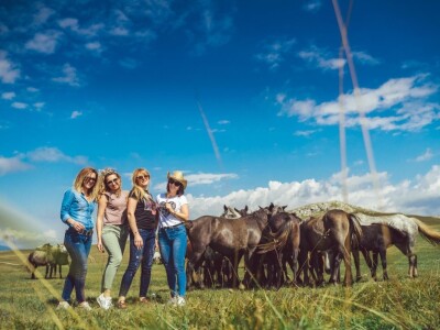 Livanjski divlji konji