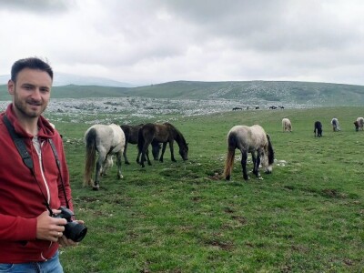 Livanjski divlji konji