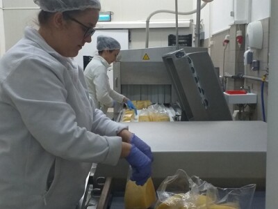 LIVANJSKI SIR-BREND KOJI OSVAJA SVIJET