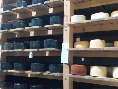 LIVANJSKI SIR-BREND KOJI OSVAJA SVIJET