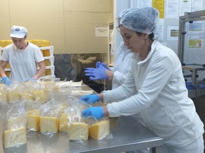 LIVANJSKI SIR-BREND KOJI OSVAJA SVIJET