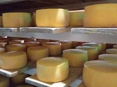 LIVANJSKI SIR-BREND KOJI OSVAJA SVIJET