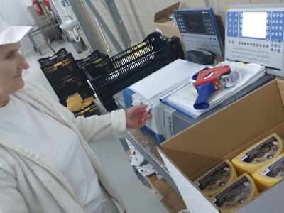 LIVANJSKI SIR-BREND KOJI OSVAJA SVIJET