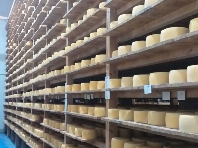 LIVANJSKI SIR-BREND KOJI OSVAJA SVIJET