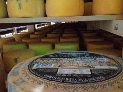 LIVANJSKI SIR-BREND KOJI OSVAJA SVIJET