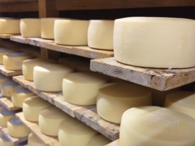 LIVANJSKI SIR-BREND KOJI OSVAJA SVIJET