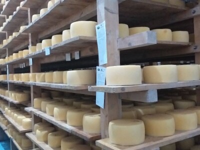 LIVANJSKI SIR-BREND KOJI OSVAJA SVIJET