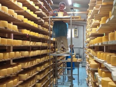 LIVANJSKI SIR-BREND KOJI OSVAJA SVIJET