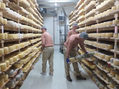 LIVANJSKI SIR-BREND KOJI OSVAJA SVIJET