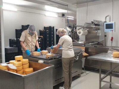 LIVANJSKI SIR-BREND KOJI OSVAJA SVIJET