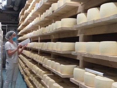 LIVANJSKI SIR-BREND KOJI OSVAJA SVIJET