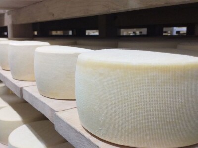 LIVANJSKI SIR-BREND KOJI OSVAJA SVIJET