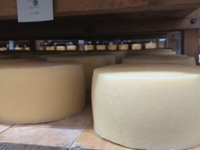 LIVANJSKI SIR-BREND KOJI OSVAJA SVIJET