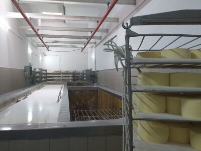 LIVANJSKI SIR-BREND KOJI OSVAJA SVIJET