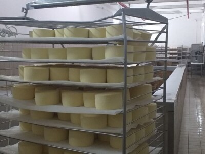 LIVANJSKI SIR-BREND KOJI OSVAJA SVIJET