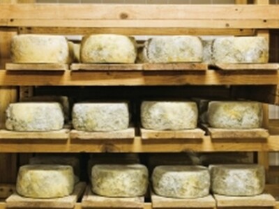 Izvorni sir tvrtke Puđa d. o. o.