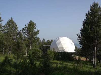 Sir, med i divlji konji spasili grad kojem je prijetio egzodus