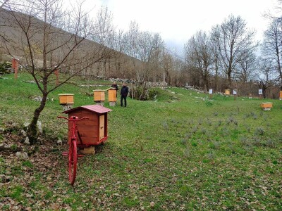 Livno: prvi pčelarski park u BiH, jedinstven i u Europi