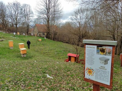 Livno: prvi pčelarski park u BiH, jedinstven i u Europi