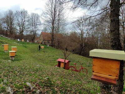 Livno: prvi pčelarski park u BiH, jedinstven i u Europi