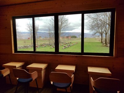 Livno: prvi pčelarski park u BiH, jedinstven i u Europi