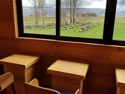 Livno: prvi pčelarski park u BiH, jedinstven i u Europi