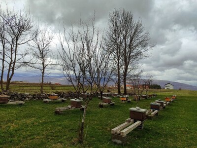 Livno: prvi pčelarski park u BiH, jedinstven i u Europi