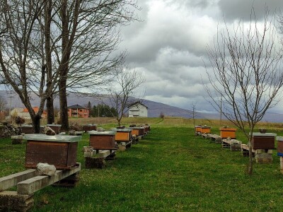 Livno: prvi pčelarski park u BiH, jedinstven i u Europi