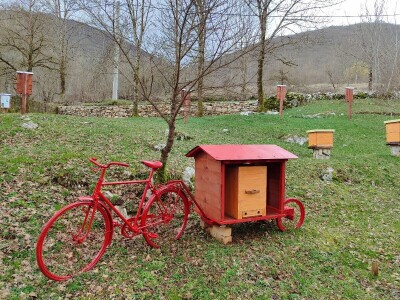 Livno: prvi pčelarski park u BiH, jedinstven i u Europi