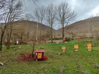 Livno: prvi pčelarski park u BiH, jedinstven i u Europi