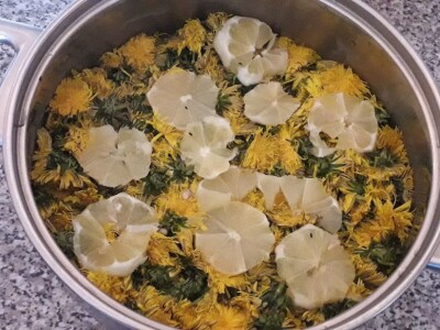 Ljekoviti med od maslačka Ljekoviti med od maslačka