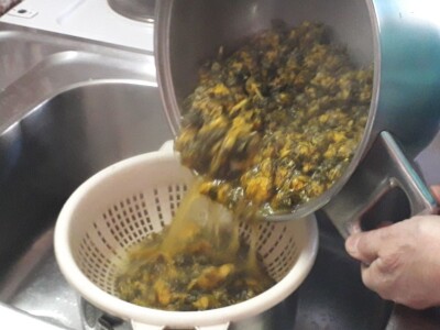 Ljekoviti med od maslačka Ljekoviti med od maslačka