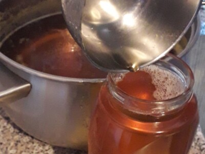 Ljekoviti med od maslačka Ljekoviti med od maslačka