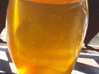 Ljekoviti med od maslačka Ljekoviti med od maslačka