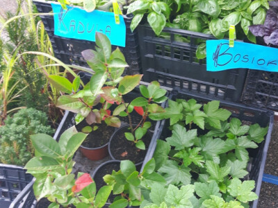 Dani organske proizvodnje ZDK