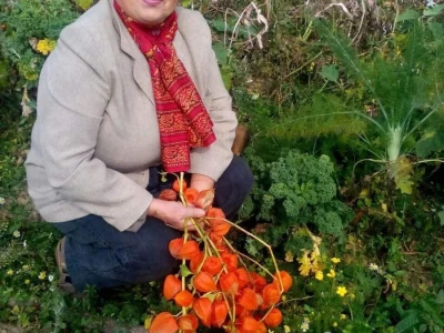 Ljekovito bilje za zdrav život