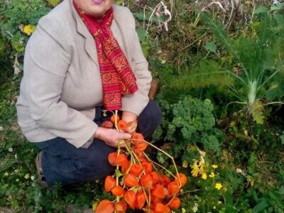 Ljekovito bilje za zdrav život Ljekovito bilje za zdrav život