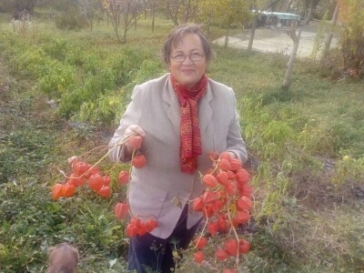 Ljekovito bilje za zdrav život Ljekovito bilje za zdrav život