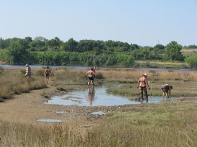 Terapija se provodi u jutarnjim satima tokom srpnja i kolovoza