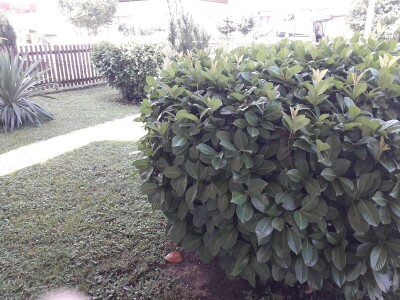 Ljepota i za oko i za dušu Ljepota i za oko i za dušu