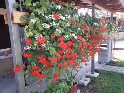 Ljepota i za oko i za dušu Ljepota i za oko i za dušu