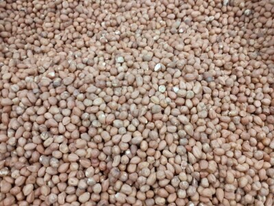 Lješnjaci - Mario Bekčec