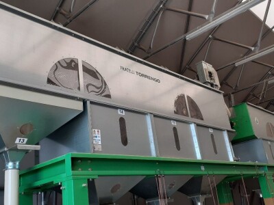 Lješnjaci - Mario Bekčec