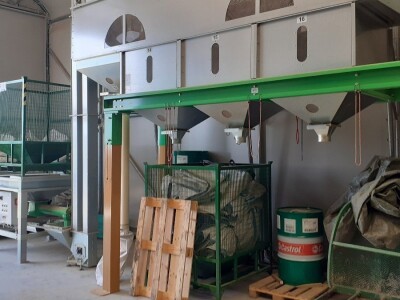 Lješnjaci - Mario Bekčec