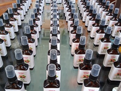 Lješnjak i orašasti plodovi su kulture nove generacije