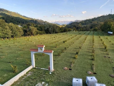 Lješnjak i orašasti plodovi su kulture nove generacije