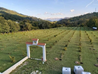 Lješnjak i orašasti plodovi su kulture nove generacije