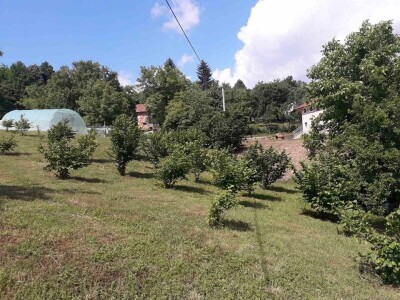 Lješnjak i orašasti plodovi su kulture nove generacije