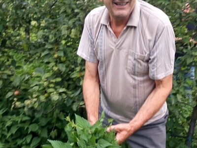 Ljetnja rezidba voća Ljetnja rezidba voća