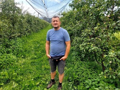 Ljetnja rezidba voća Ljetnja rezidba voća